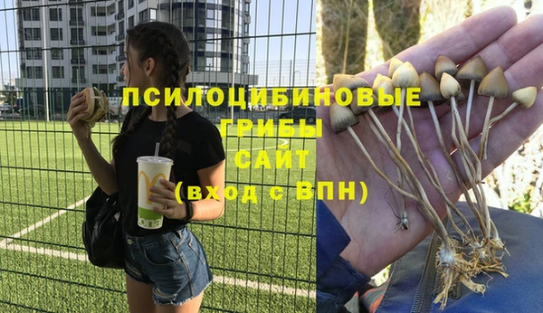 шишки Волосово