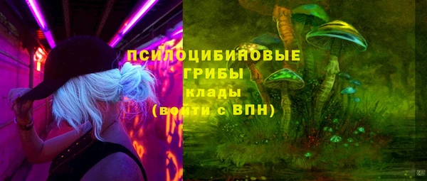 шишки Волосово