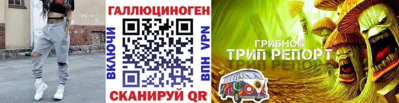 Галлюциногенные грибы GOLDEN TEACHER  Зеленоградск 